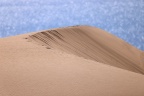 Namib Desert Coast - Sand dunes