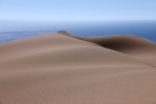 Namib Desert Coast - Sand dunes