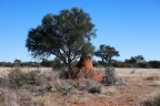 Etosha - Termite mound