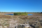 Etosha - Klein Okevi Waterhole