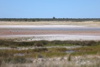 Etosha - Water