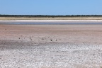 Etosha - Water