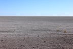 Etosha - Salt pan