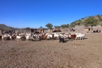 Opuwo - Himba village