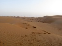 Wahiba Sands desert