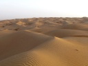 Wahiba Sands desert