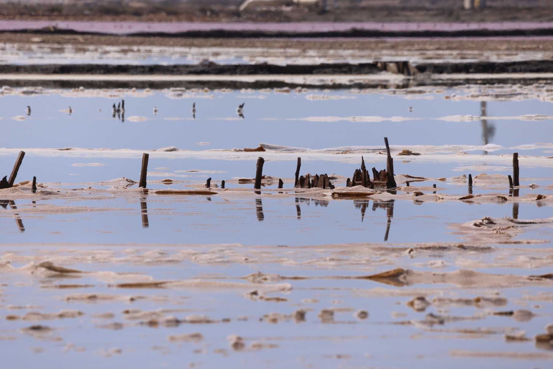 Salin de Giraud