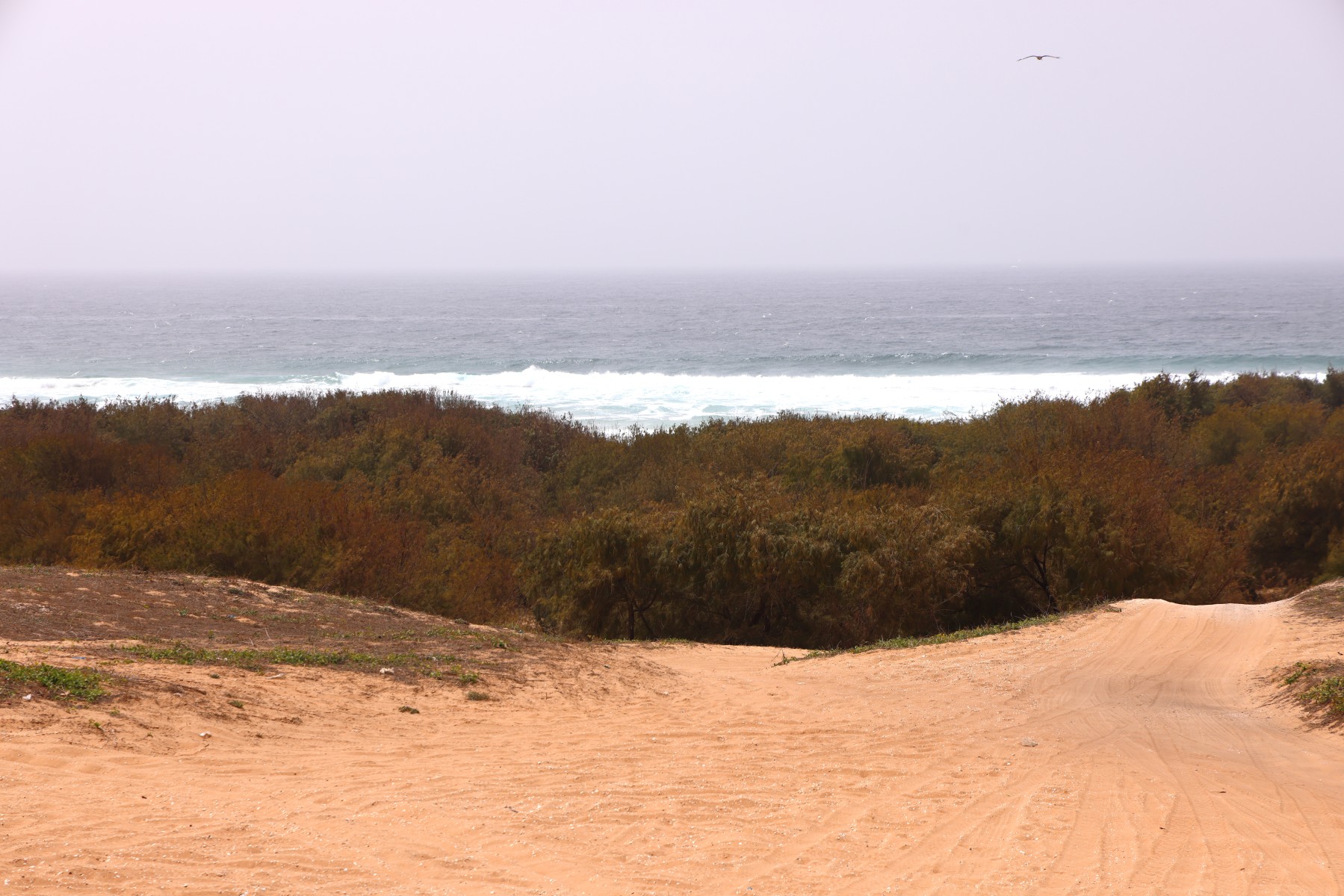 Near Kayar - Atlantic ocean