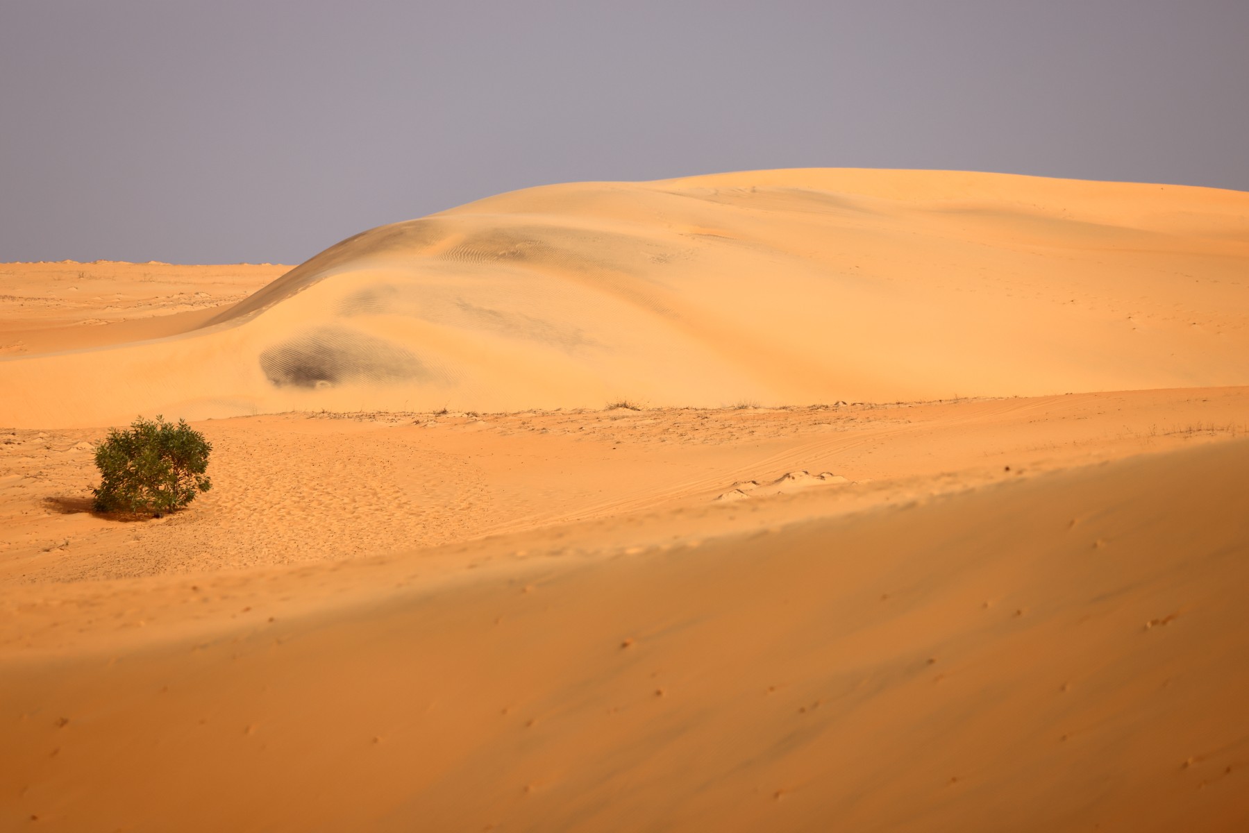 Ecolodge de Lompoul - Desert
