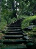 Chiyoda Ward - Imperial Palace - East gardens