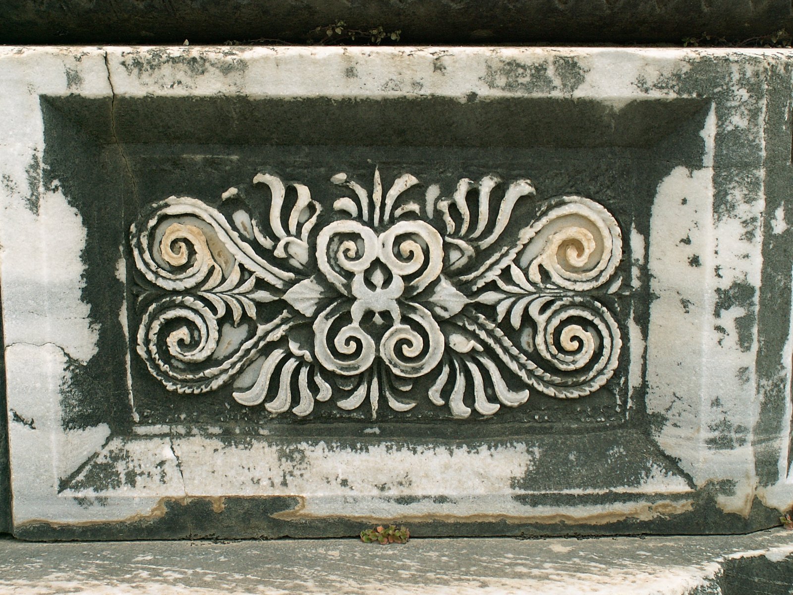 Didyma