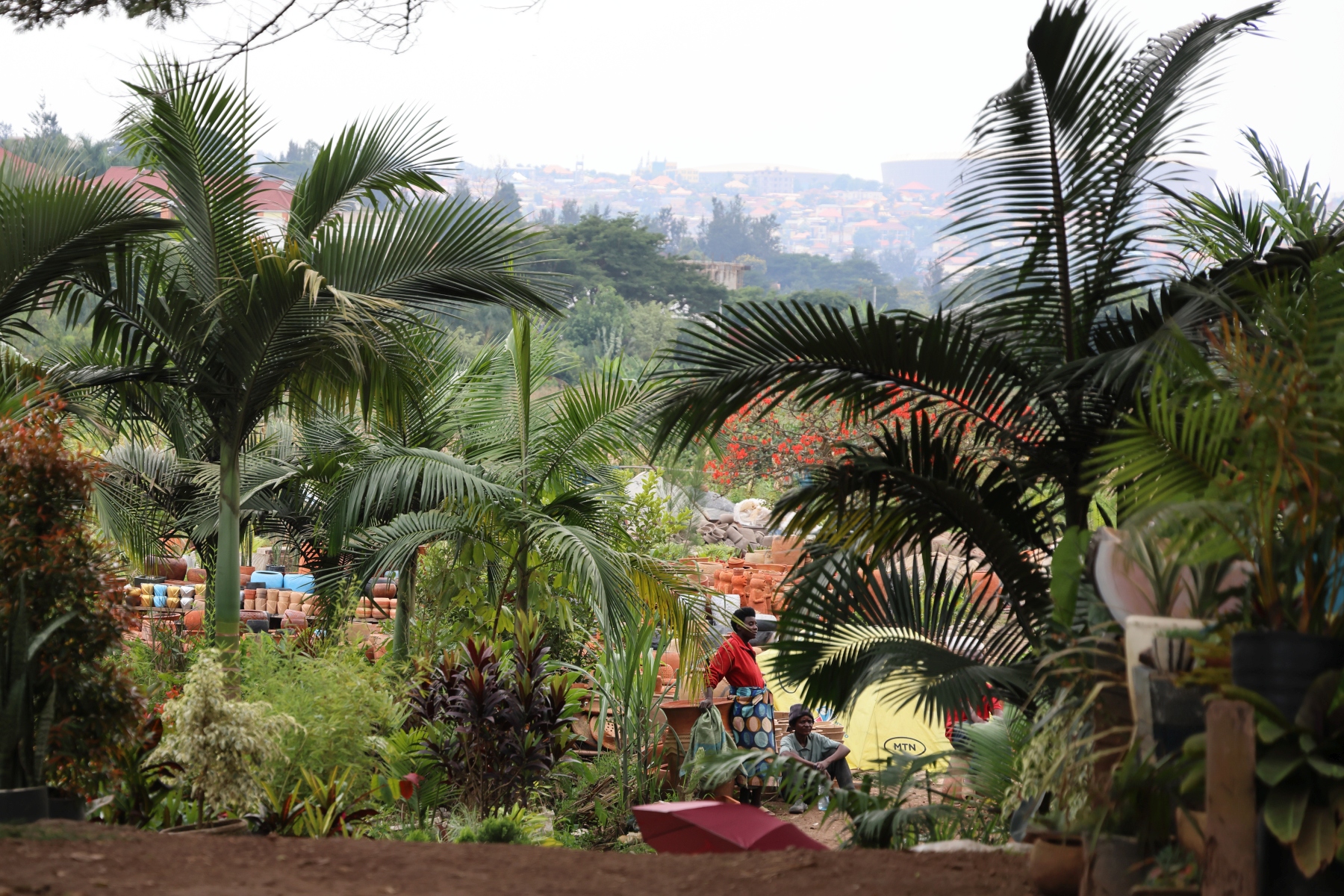 Rwanda - Kigali - Gardens