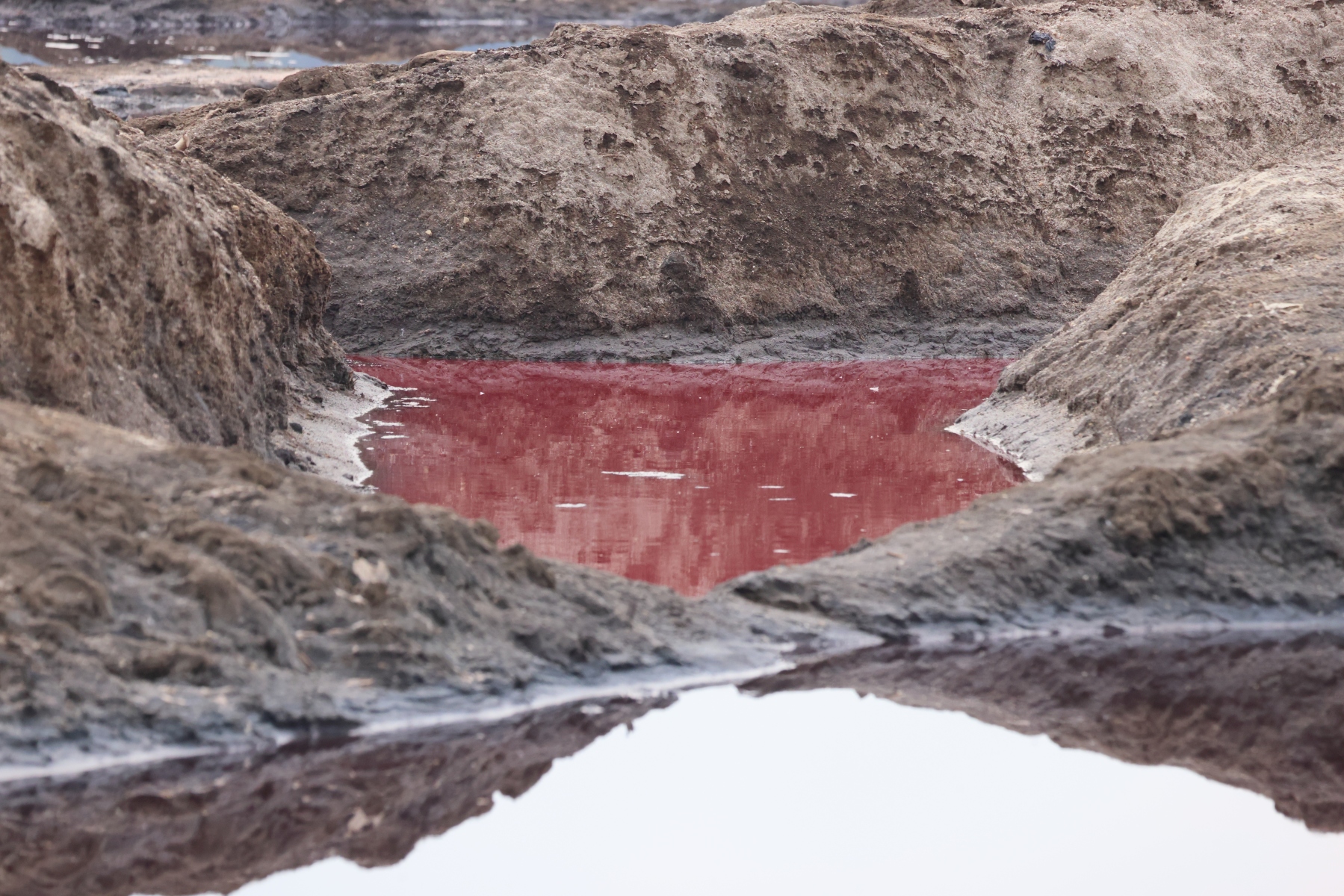 Uganda - Queen Elizabeth National Park - Salt lake Bunyampaka - Salt panes