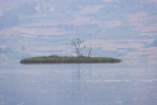 Uganda - Bunyonyi lake - Punishment Island