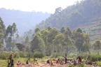 Uganda - Near Kashenyi