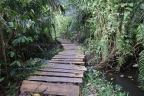 Uganda - Kibale National Park