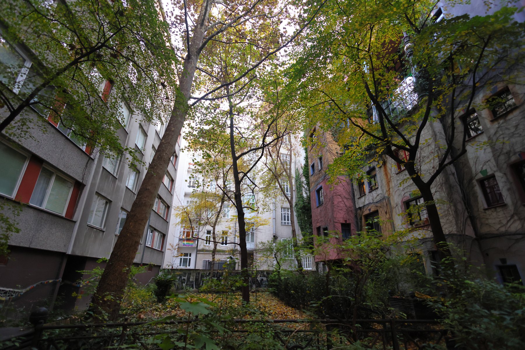 Hundertwasserhaus - Trees